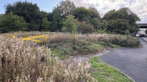 An area of grassland next to a road.