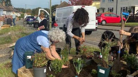 Women leaning over a large wooden planter on a residential road. Several shrubs and plants are being planted in the soil.