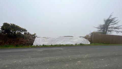 A road, you can see white tarpaulin over hedges on the side of the road.