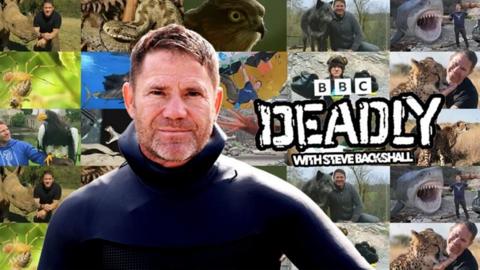 Steve standing in front of a collage of deadly animals with the deadly logo to his right