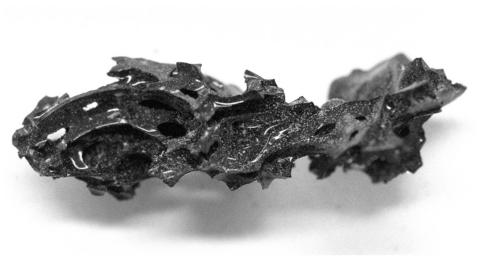 A picture of a fragment of the glass brain. It's a jagged, irregular-shaped chunk of bluish-black glass with little white specks, in this picture set against a white background.