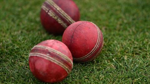Some used Cricket Balls pictured on the grass