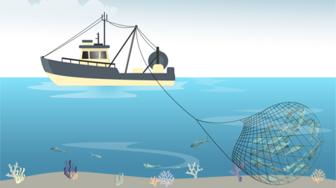 GFX of boat bottom trawling 