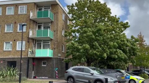A view of the block of flats on Cuckmere Lane in Southampton where the fatal fall took place. Resident cars and a police car are parked in front. It is sunny.