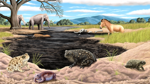 Artwork of La Brea Tar Pits
