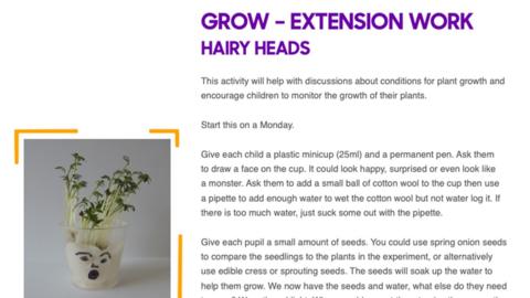 Text reads GROW - EXTENSION WORK HAIRY HEADS