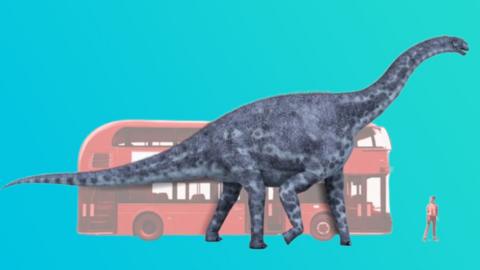 dinos