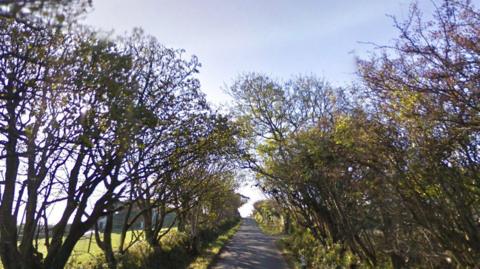 Ballacutchel Road is a narrow country road with lots of trees on either side.