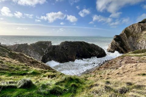 Rocks on the coast, with a little cove and a grassy bank.