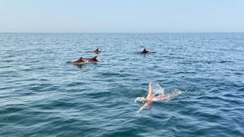A person swimming alongside four dolphins in the sea. Clear skies behind.
