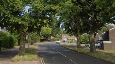 A residential street lined with large trees.