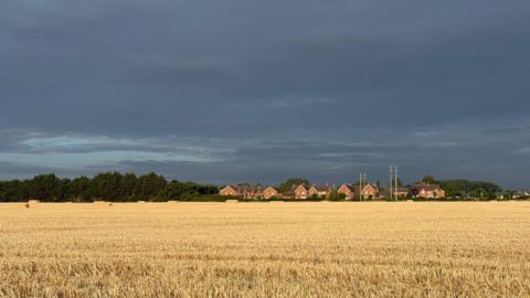 Dark rain clouds fill the sky with houses on the horizon and a wheat field in the foreground 