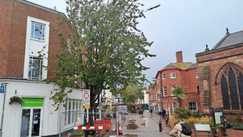 A tall cherry tree with silver metal high railings surrounding the plant.