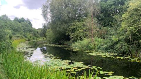 A canal going from bottom right to halfway up on the left on the photo. There are trees to the right of the canal and smaller trees, as they appear on the image, on the left of the canal. There are lily ponds in the water and long grass around the edge.