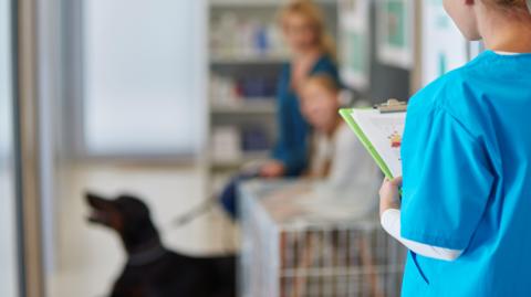 A stock photo of a vet stood with her back to the camera. A blurred image of a dog and its owner are in the background. 