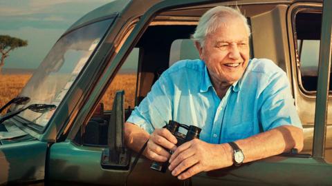 David Attenborough smiling and leaning out a car window. (Image: BBC NHU/Alex Board)
