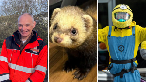 Three composite images side-by-side; an older man wearing a postal worker uniform, a brown furry ferret, and a man wearing a minion costume, a yellow onesie with blue denim overalls.