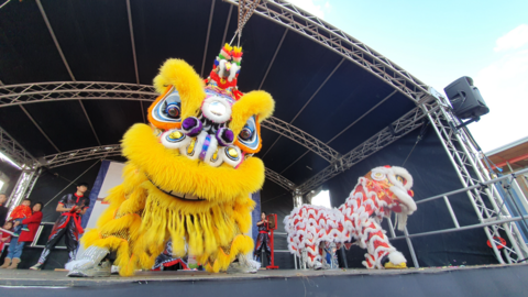 A lion dance on a large stage with a yellow lion in the foreground and a red and white stripped one in the background