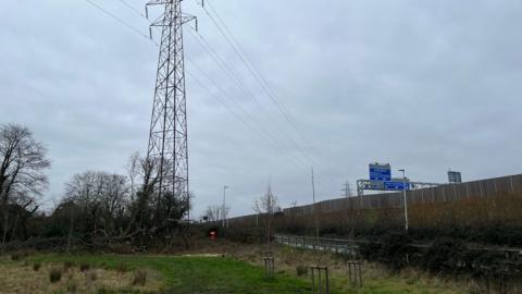 A picture of the pylon and a fallen tree, close to the motorway, with its blue sign visible.