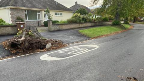 The stump is on the pavement. It has been uprooted and its roots are showing and there are lumps of broken tarmac. Part of Lochardil Road is in view along with some of its surviving trees.