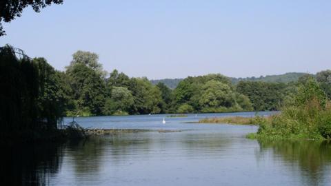 The Sevenoaks Wildlife Reserve. A clear lake can be seen in the picture, surrounded by trees and shrubs.