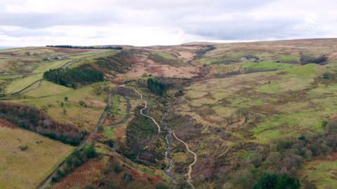 the peatland in bolton