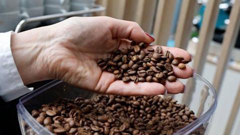 Woman's hand holding coffee beans over a coffee machine 