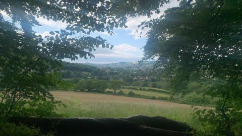 Heavens Valley in Stroud, framed by trees and a fallen log on a summer's day. There is a sloping green field that slopes down, with more fields, trees and some houses seen in the distance.