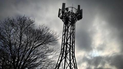 A shot of a 5G mast with tree and sky