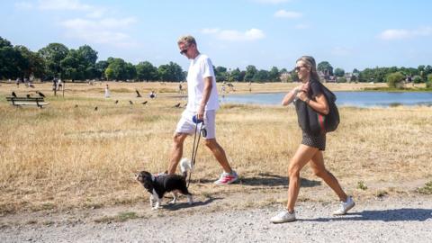 The parched grass on Wimbledon Common due to the dry weather conditions and a prolonged summer heatwave, on 12 July 2026