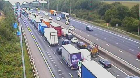 Lots of cars on the M25, showing eight lanes of traffic, several traffic lights, and trees and bushes on either side of the road. 