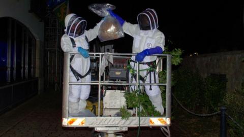 Image shows the double bagged nest being removed by two experts.