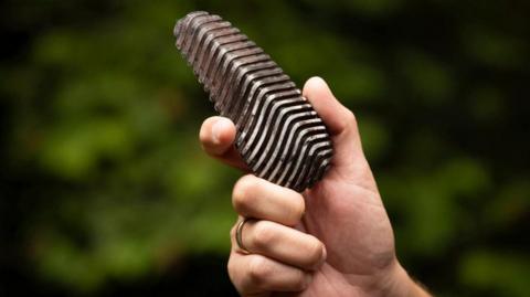 A hand is pictured holding a pinecone-like device created by students for Dyson to detect wildfires.