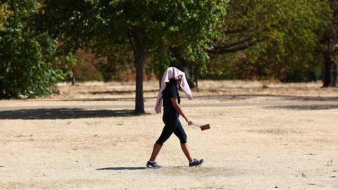 A woman in leggings and trainers walk across scorched grass amid a UK heatwave