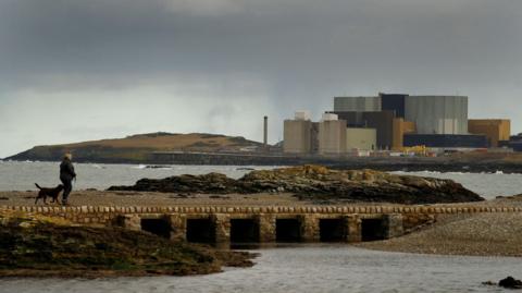 Wylfa power station