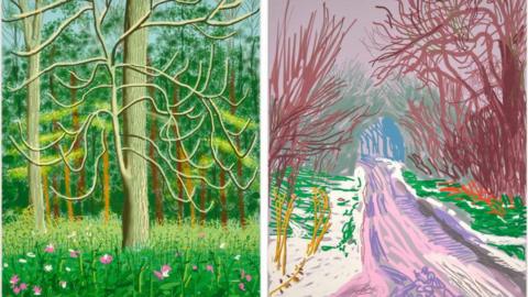 A composite of two drawings. On the left is a tree with several thin branches and a meadow beneath it of pink flowers amongst the greenery. On the right is a pathway with trees looming over it. You can see the pink and purple lines that make up the different areas of the drawings.