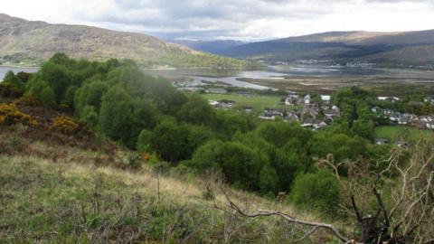 The image is taken from a hillside above Fort William. Loch Linnhe and rolling hills are visible in the distance. Nearby there are gorse bushes and trees on the slope. 