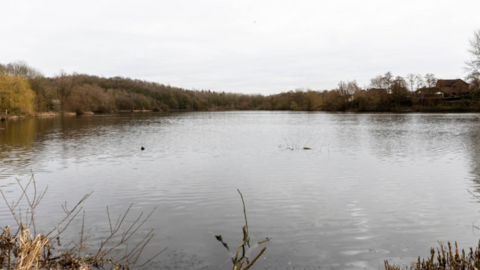 A large lake, surrounded by grasses, bushes and trees