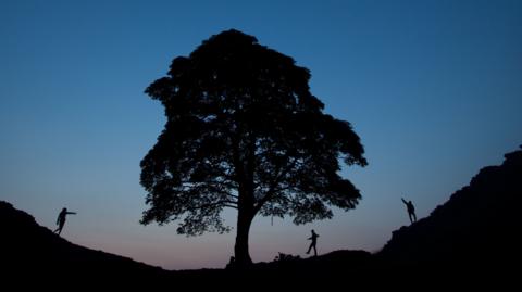 File photo dated 05/07/13 of people taking an evening walk at Sycamore Gap in Northumberland of people next to Hadrian's Wall