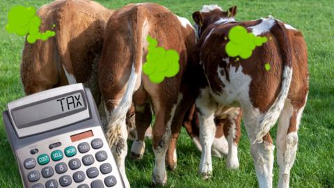 Image shows the rear end of three cows producing green "fart" gas stand in a field. There is a tax calculator in the foreground. 