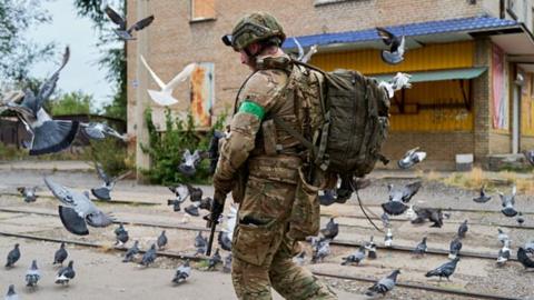 A soldier walks down the street in his uniform. Many pigeons can also be seen around him. 