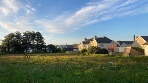 A green field in front of a row of houses