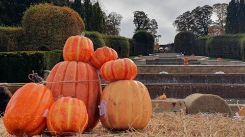 A pile of pumpkins are stacked on hay at the bottom of a large water feature that runs down a grassy slope. It is bordered by green hedges that are turning orange.