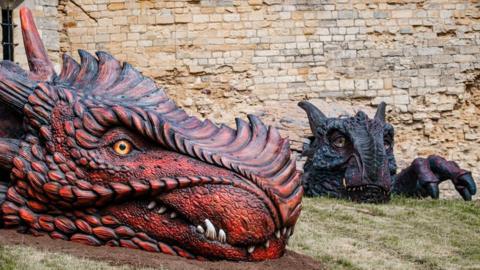 Two large dragon sculptures can be seen on the grassy embankment of the Lincoln Castle walls. They are both rearing their heads above the grass, one is red and the other is black with blue and purple parts.