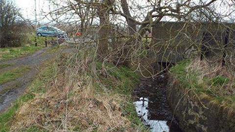The tiny stream at Cut Throat Dene in Sunderland. The water is murky with leaves floating in it. A tree is rising above the stream, which is next to a path. A blue car is parked at the top of the stream. 