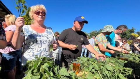 A row of people standing behind a long table piled up with stinging nettles. Each person has a pint of cider sitting next to their pile. The woman nearest the camera is holding a stinging nettle stalk in the air and a bunch of leaves in the other hand. The man next to her is picking up his pint.