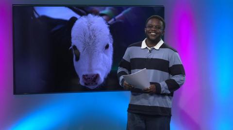 De-Graft in the studio