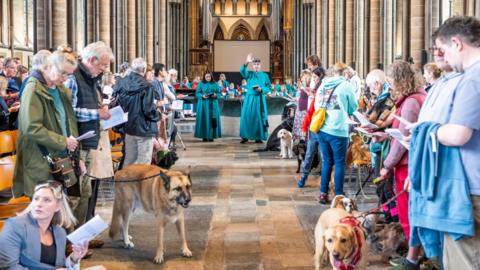A congregation, with dogs in tow, gather around the aisle of a cathedral at a pet blessing as the Dean of Salisbury, standing at the front in a teal gown, raises his hand
