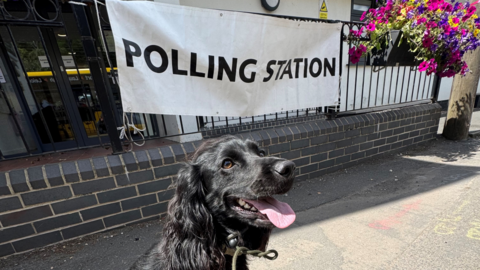 Black dog sitting outside near a polling station banner