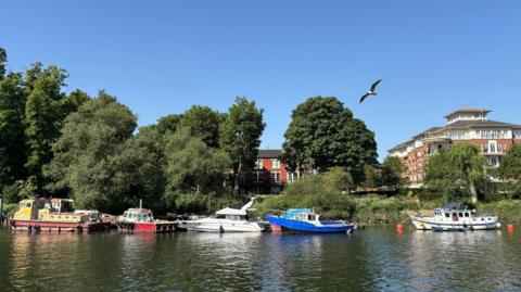 Small boats moored at the side of the river. There's trees and a few large buildings behind them as a bird flies in the blue sky